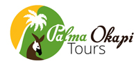 logo palma